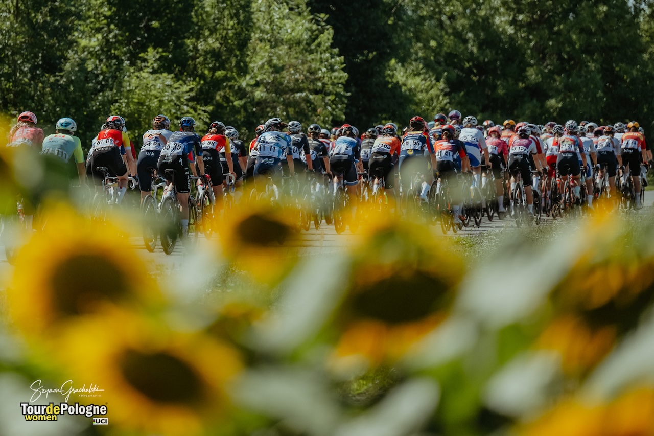 TdPW-2025-1-Szymon Gruchalski (18)