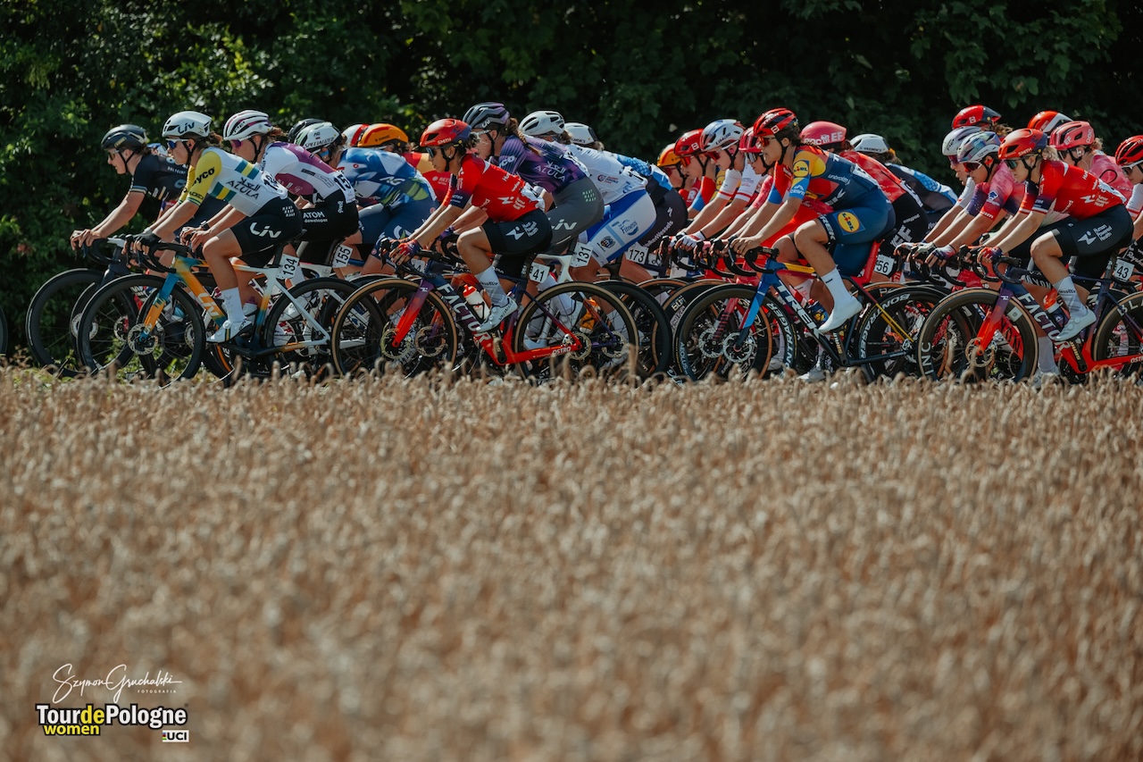 TdPW-2025-2-Szymon Gruchalski (22)