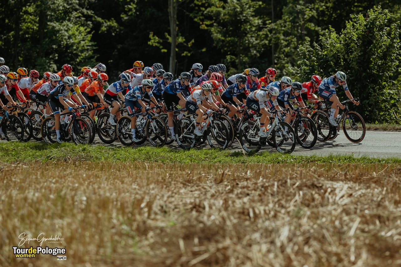 TdPW-2025-2-Szymon Gruchalski (30)