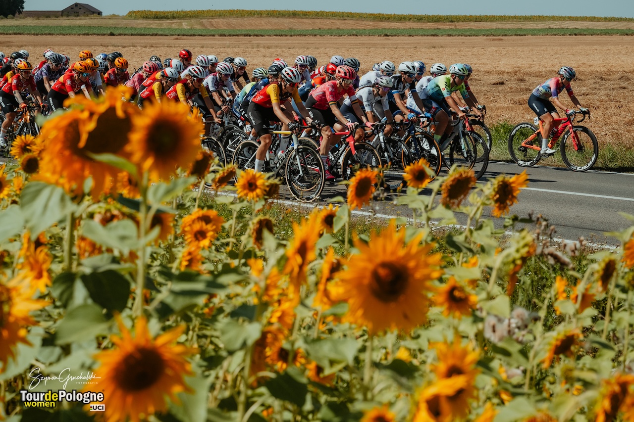 TdPW-2025-3-Szymon Gruchalski (13)