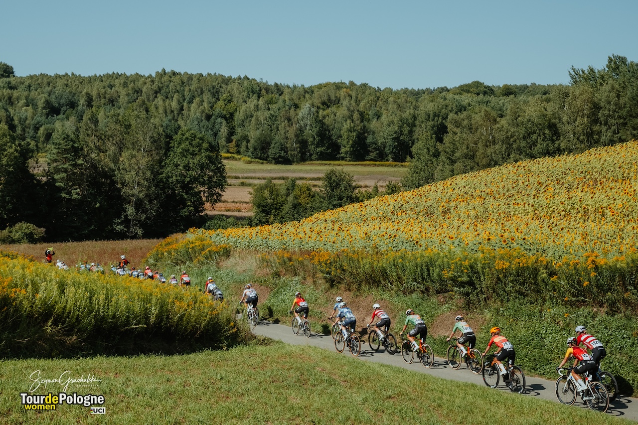 TdPW-2025-3-Szymon Gruchalski (27)